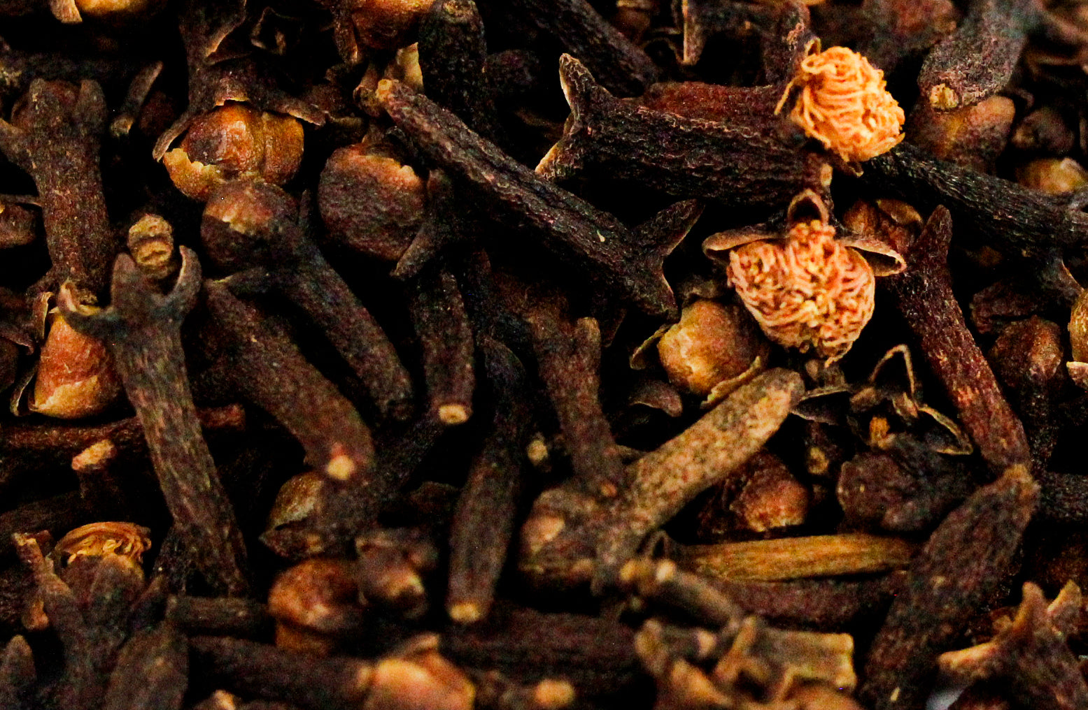 CRAVO DA ÍNDIA INTEIRO 1KG