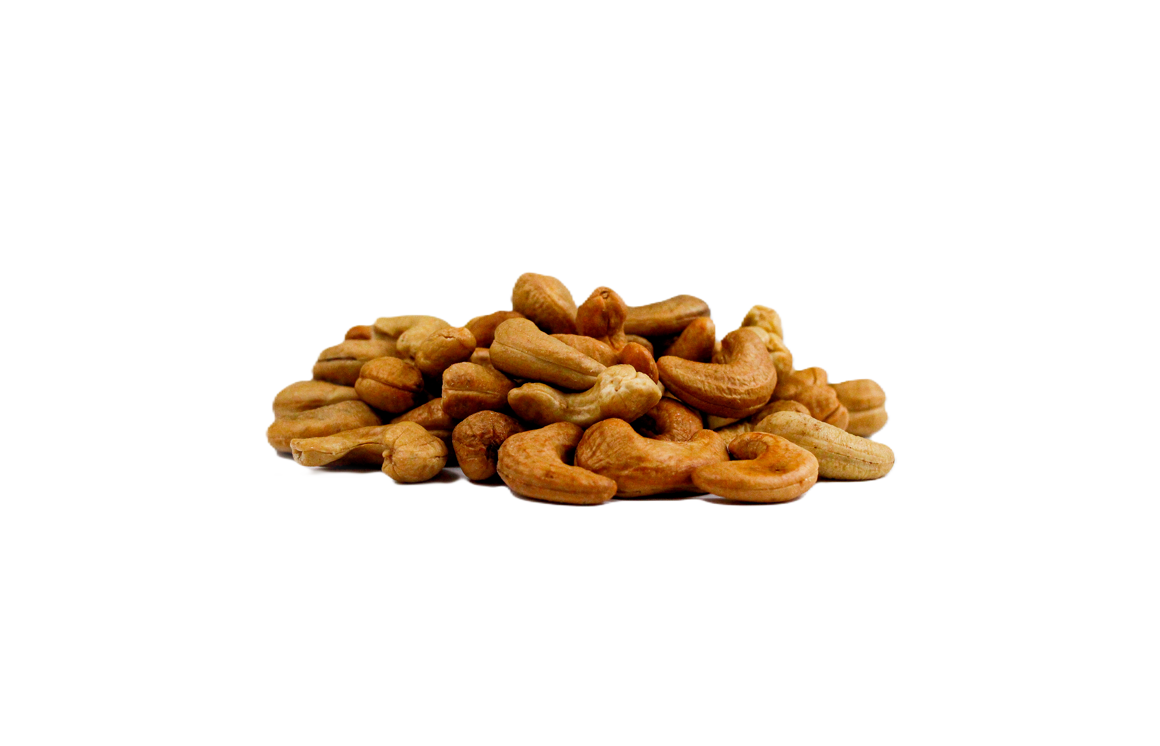 CASTANHA DE CAJU TORRADA E SALGADA 1KG