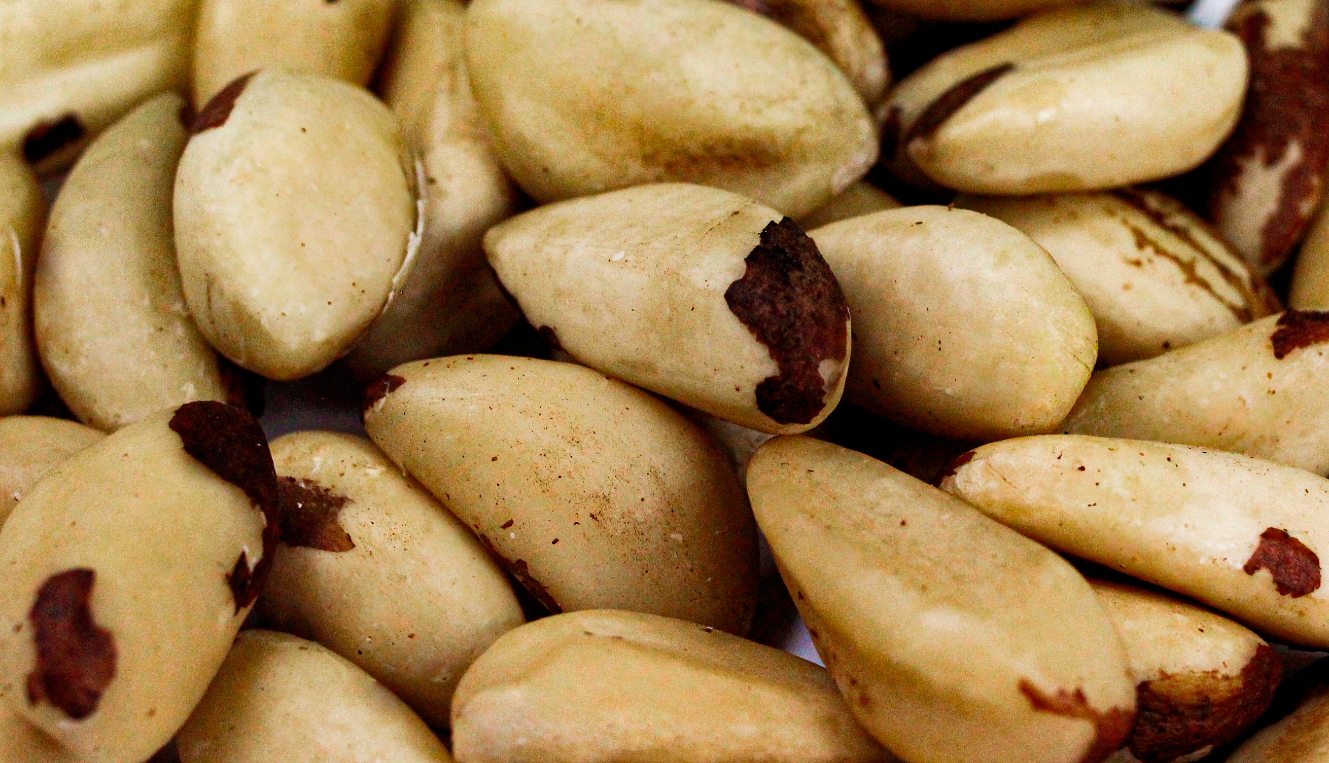 CASTANHA DO PARÁ INTEIRA 1KG