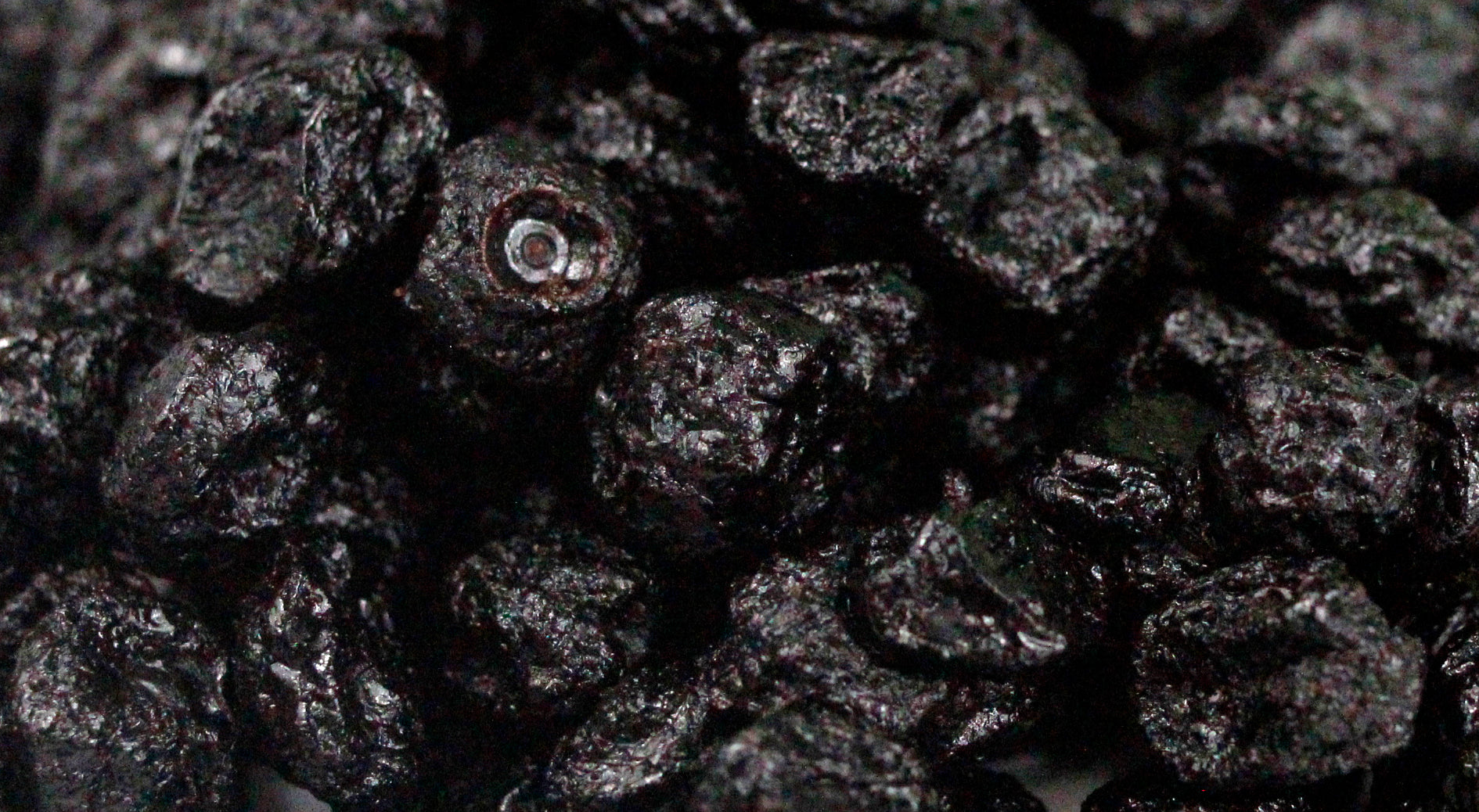 BLUEBERRY DESIDRATADO 120G