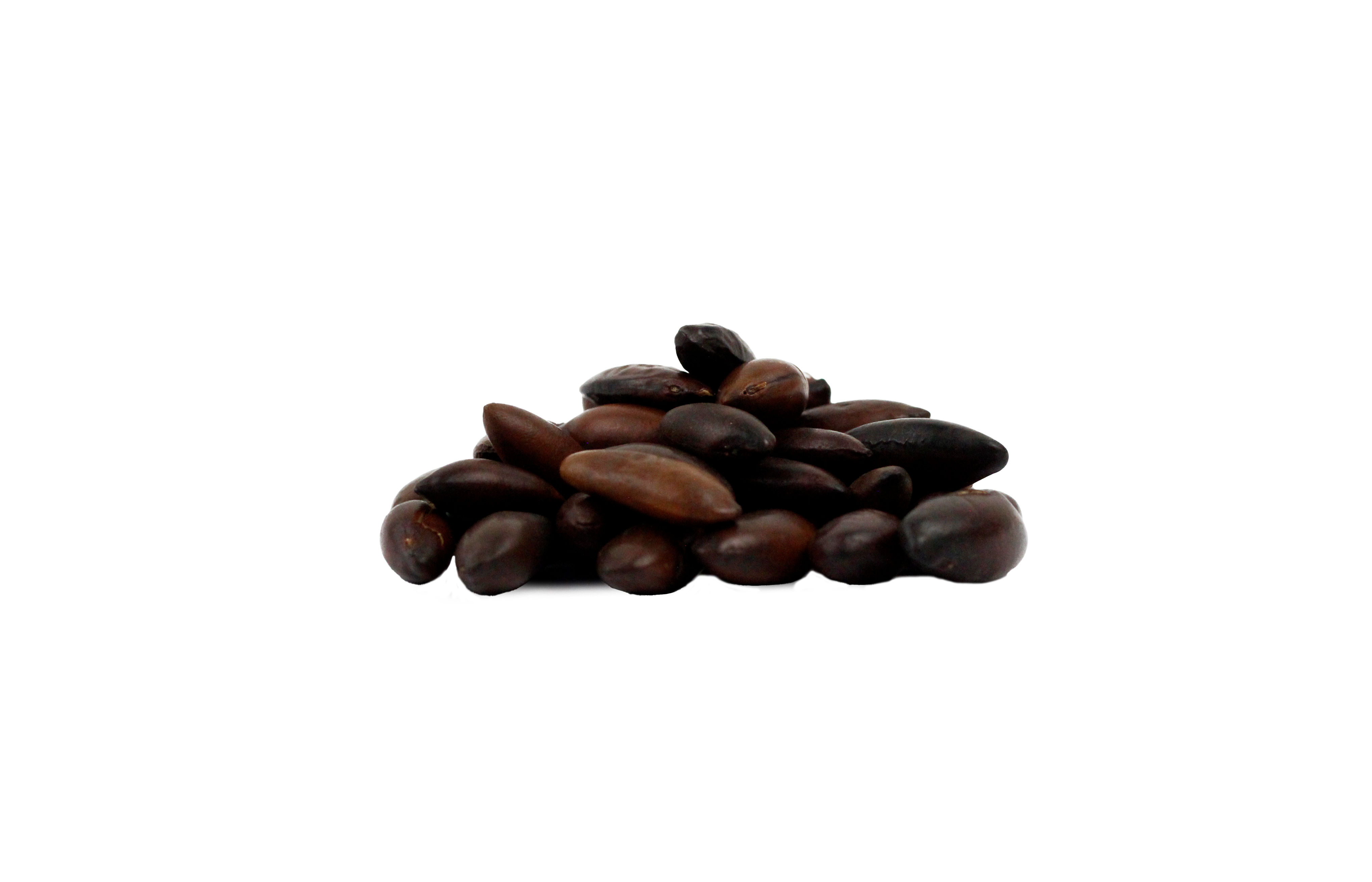 CASTANHA DE BARU TORRADA PREMIUM 1KG