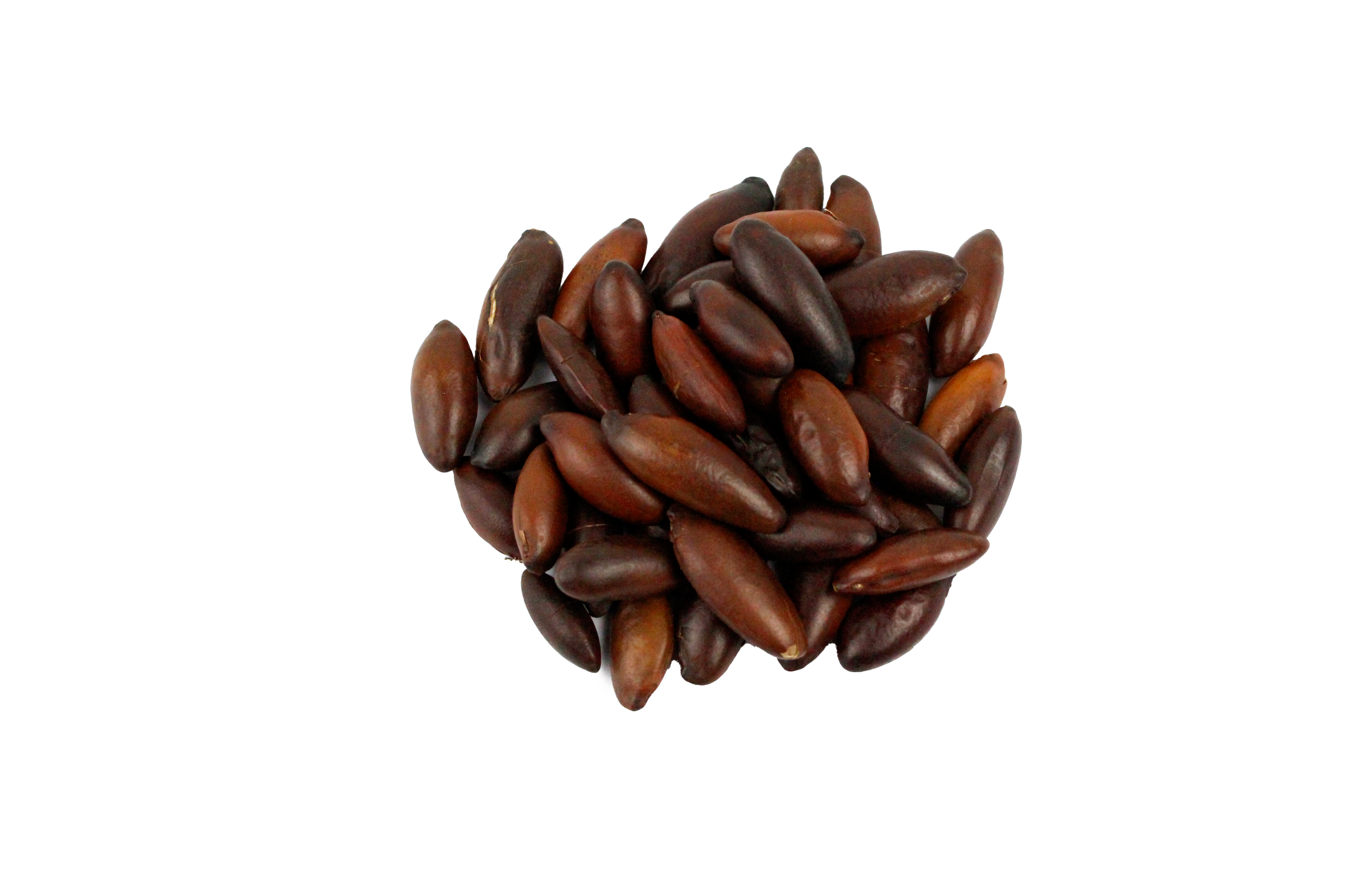 CASTANHA DE BARU TORRADA PREMIUM 1KG
