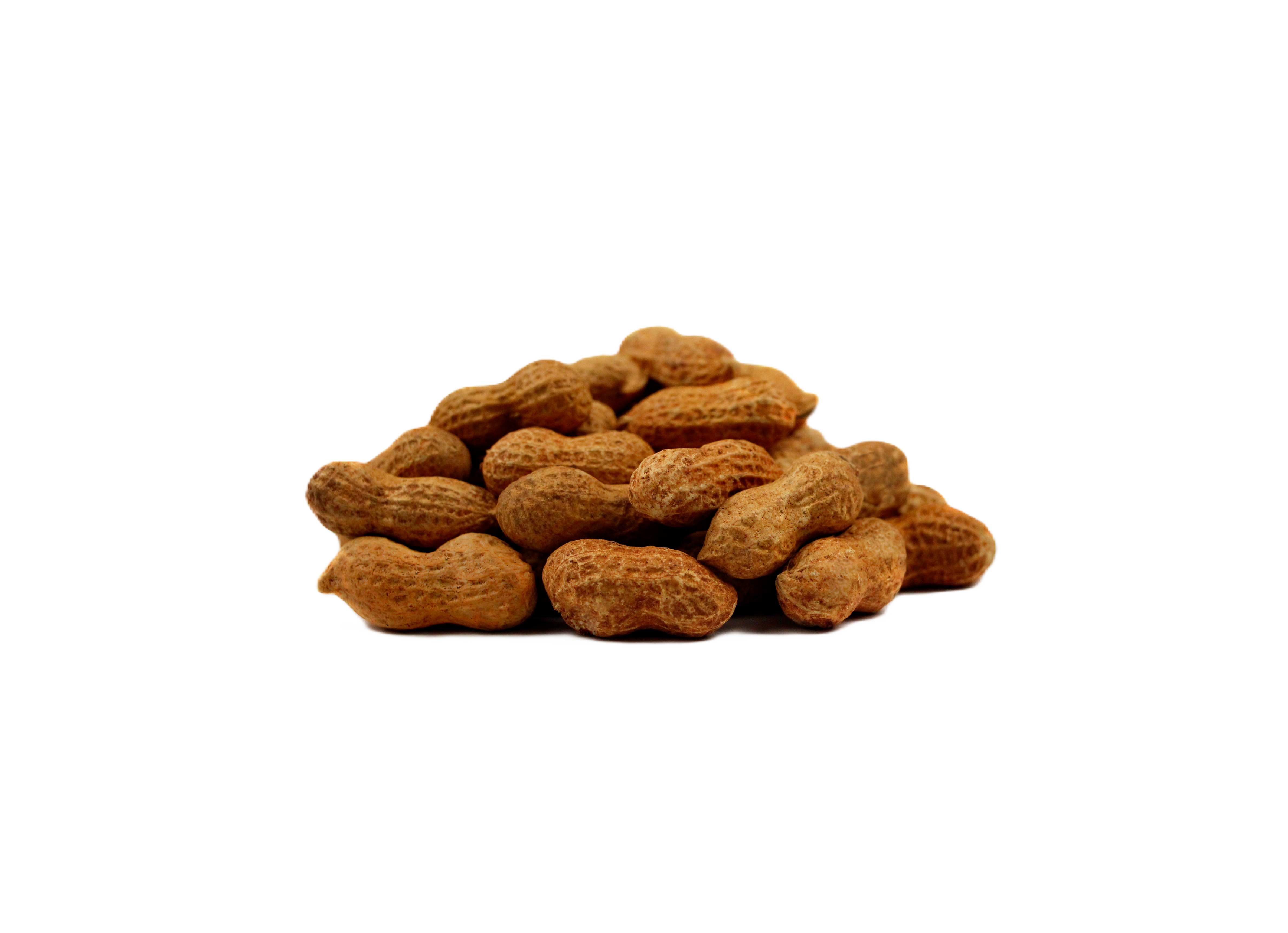 AMENDOIM TORRADO COM CASCA 1KG